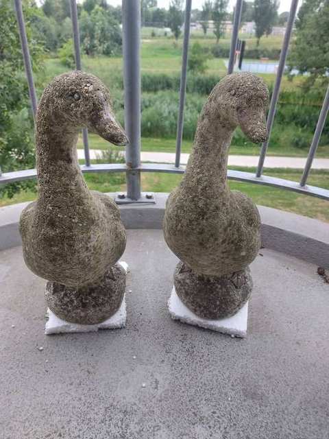 Paar tuinganzen van gegoten steen — foto 3