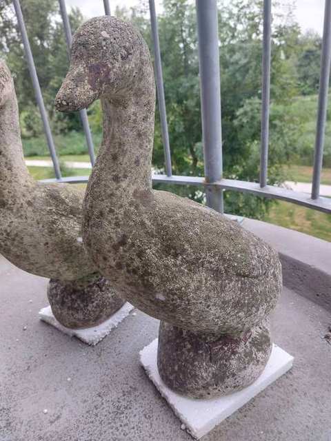 Paar tuinganzen van gegoten steen — foto 5