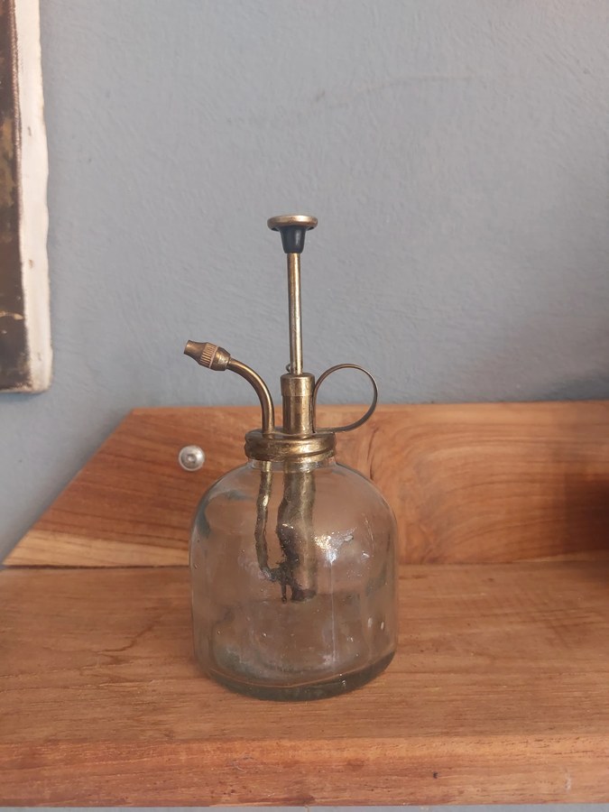 Oude plantenspuit van glas met messing pomp — werkend — foto 2